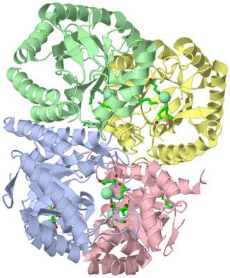 Image Asym./Biol. Unit - sites