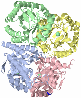 Image Asym./Biol. Unit