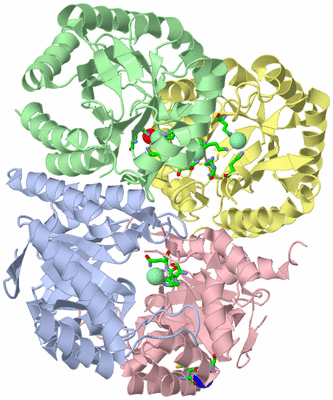 Image Asym./Biol. Unit - sites