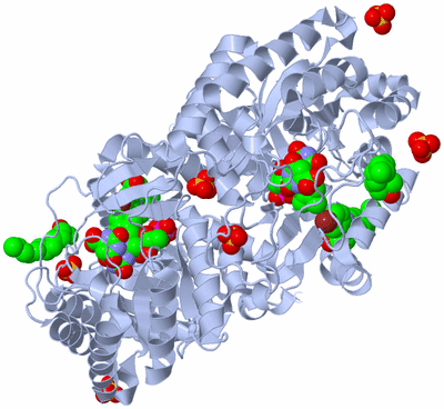 Image Biological Unit 1