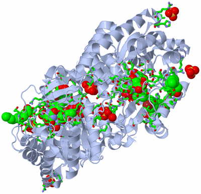 Image Biol. Unit 1 - sites