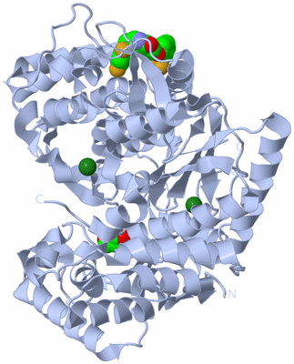 Image Biological Unit 1