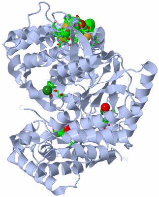 Image Biol. Unit 1 - sites