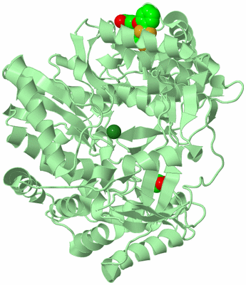 Image Biological Unit 2