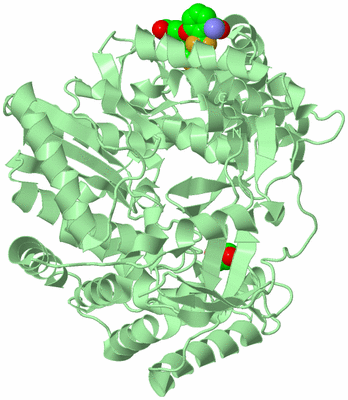 Image Biological Unit 2