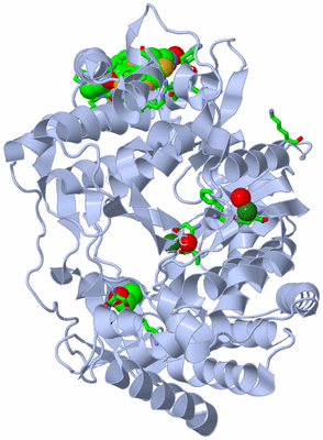 Image Biol. Unit 1 - sites