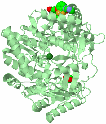 Image Biological Unit 2