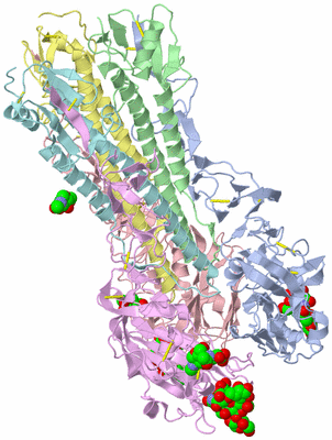 Image Biological Unit 1