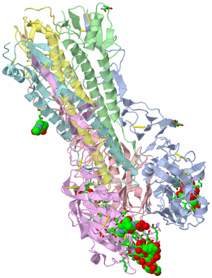 Image Biol. Unit 1 - sites