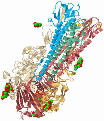 Image Biological Unit 2