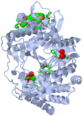 Image Biol. Unit 1 - sites