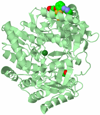 Image Biological Unit 2