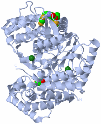 Image Biological Unit 1