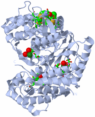 Image Biol. Unit 1 - sites