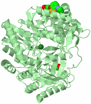 Image Biological Unit 2