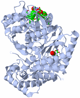 Image Biol. Unit 1 - sites