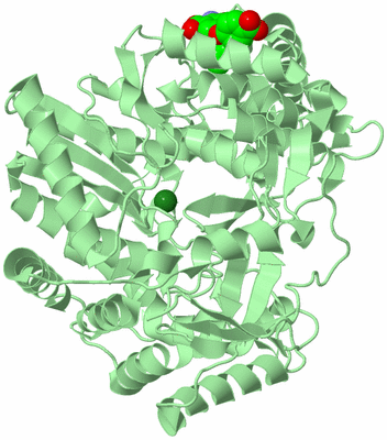 Image Biological Unit 2