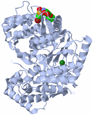 Image Biological Unit 1