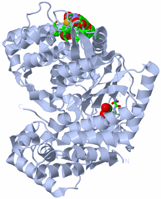 Image Biol. Unit 1 - sites