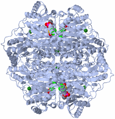 Image Biological Unit 1