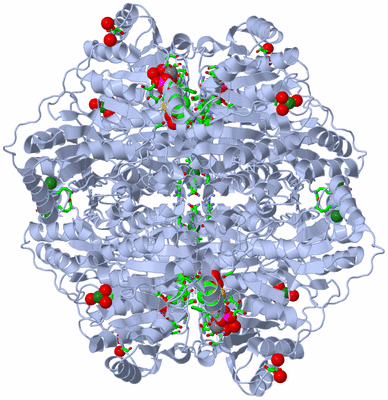 Image Biol. Unit 1 - sites