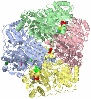 Image Asym./Biol. Unit