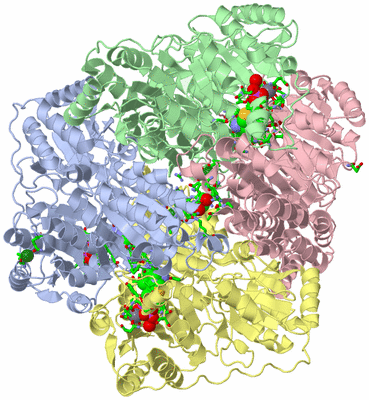 Image Asym./Biol. Unit - sites