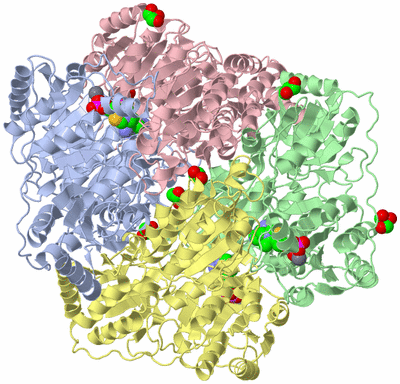 Image Asym./Biol. Unit