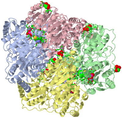 Image Asym./Biol. Unit - sites