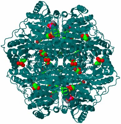 Image Biological Unit 1