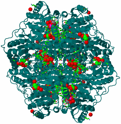 Image Biol. Unit 1 - sites