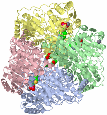 Image Asym./Biol. Unit