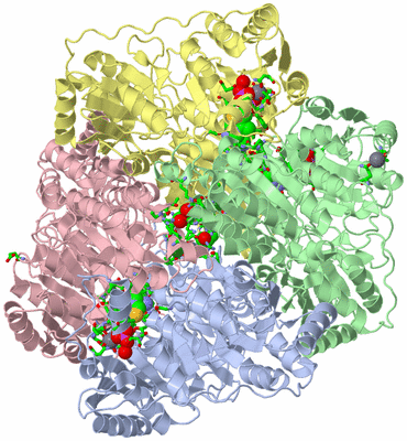 Image Asym./Biol. Unit - sites