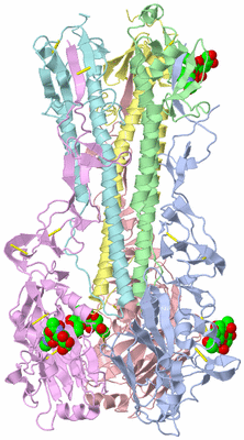 Image Biological Unit 1