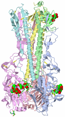 Image Biol. Unit 1 - sites