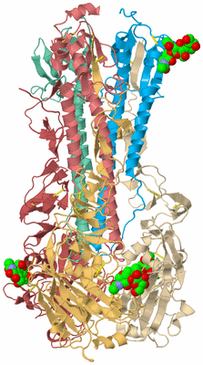 Image Biological Unit 2