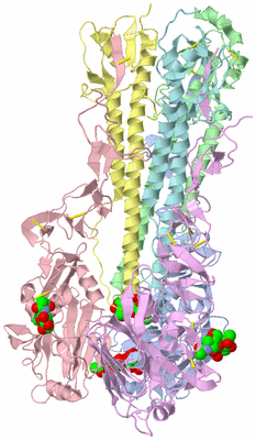 Image Asym./Biol. Unit