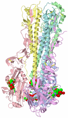 Image Asym./Biol. Unit - sites