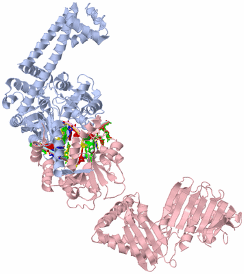 Image Asym./Biol. Unit