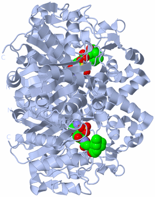 Image Biological Unit 1