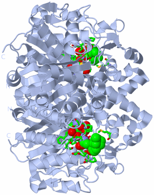 Image Biol. Unit 1 - sites