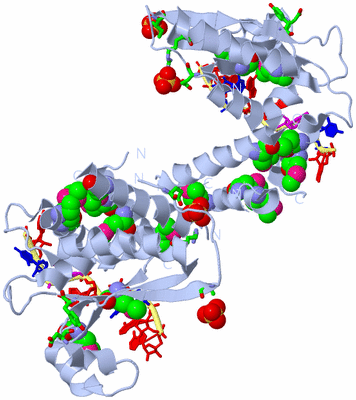 Image Biol. Unit 1 - sites