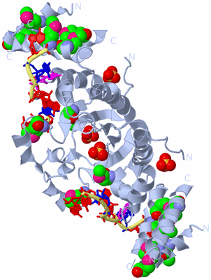 Image Biological Unit 2