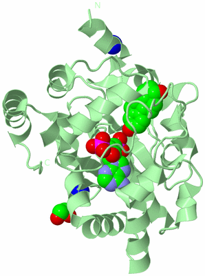 Image Biological Unit 2