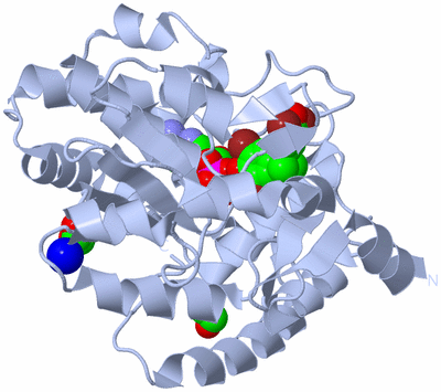 Image Biological Unit 1