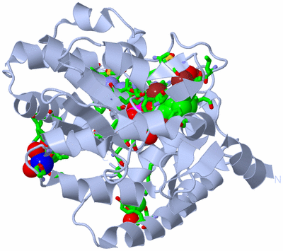 Image Biol. Unit 1 - sites