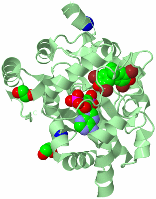 Image Biological Unit 2