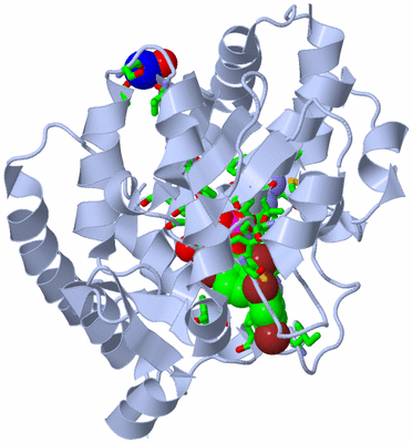 Image Biol. Unit 1 - sites