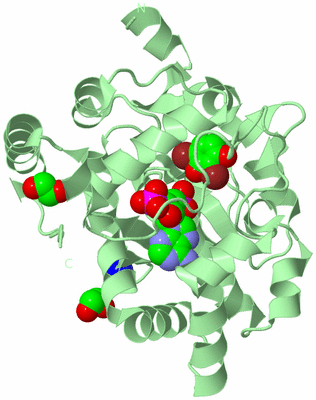 Image Biological Unit 2