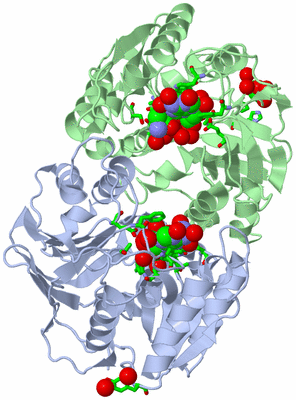 Image Asym./Biol. Unit - sites